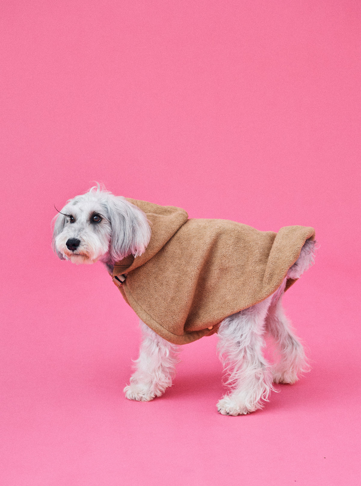 愛犬の防寒はフリースブランケット │ ドッグスリング・犬の抱っこ紐