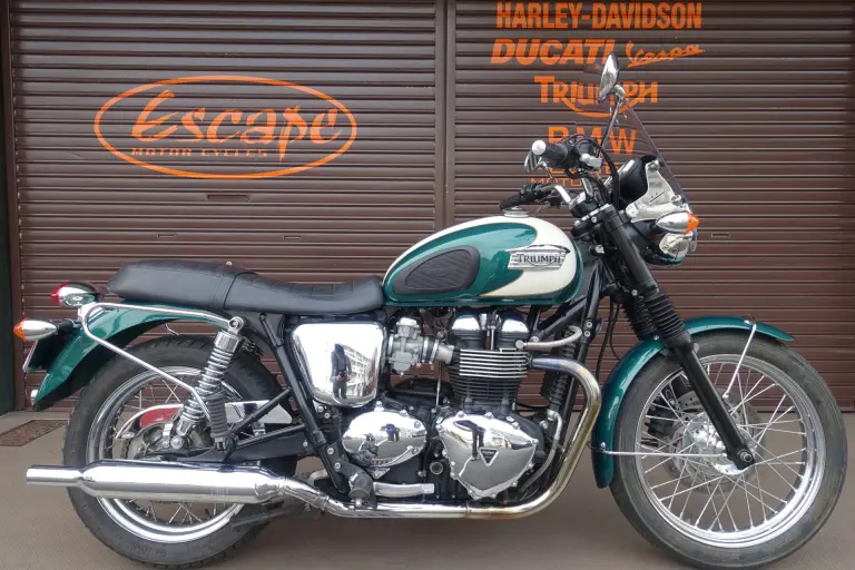 TRIUMPH ストリートスクランブラー スクリーン ストーンガード ハンド