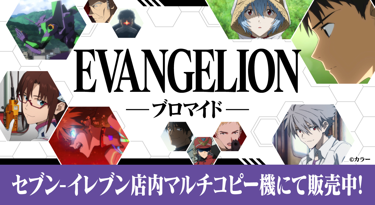 新世紀エヴァンゲリオン 第1次〜第4次中間報告 コンプリート