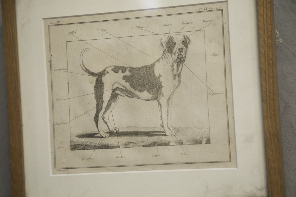 アンティーク 銅版画 – フランス、ヨーロッパのアンティーク