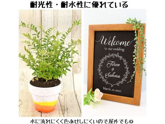 サクラクレパス ピグマックス細字 8色セット ZPK-S8 通販【フォレスト