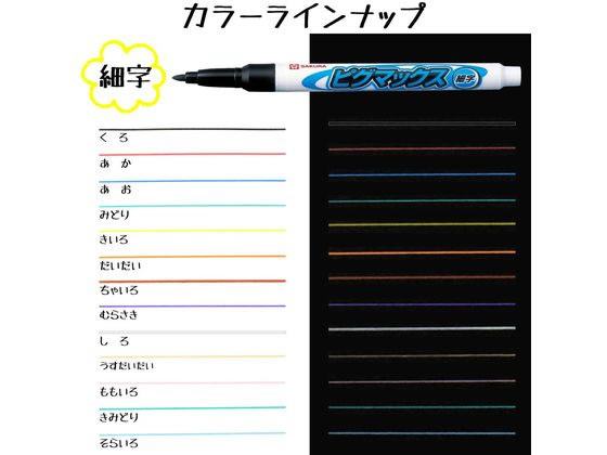サクラクレパス ピグマックス細字 8色セット ZPK-S8 通販【フォレスト