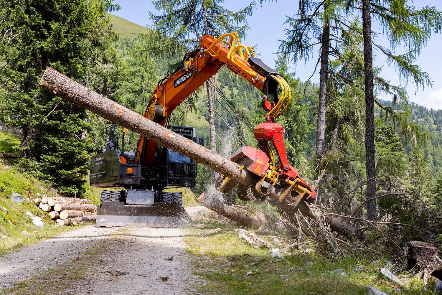 WOODY WH60-1 - Konrad Forsttechnik