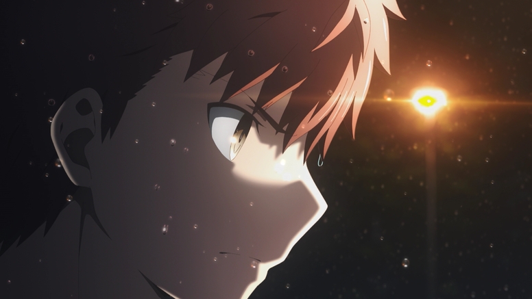 Fate stay night 第三章 入場特典フィルム 衛宮士郎 179067.jpg