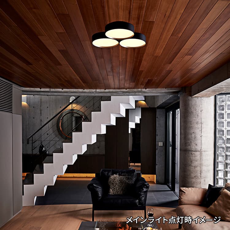 AW-0579E(WH/LW) アートワークスタジオ製シーリングライト