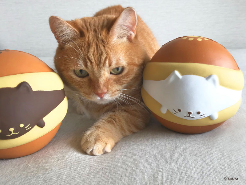 もちもちふわふわ♪どらやきにゃんこスクイーズBIG｜トピックス｜株式