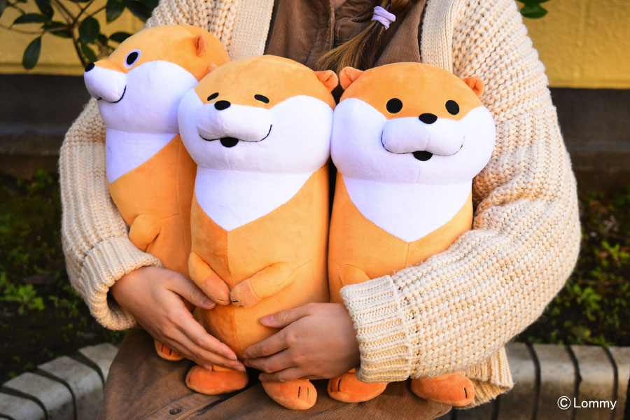 非売品】可愛い嘘のカワウソぬいぐるみくじ特等/特賞 【公式通販】