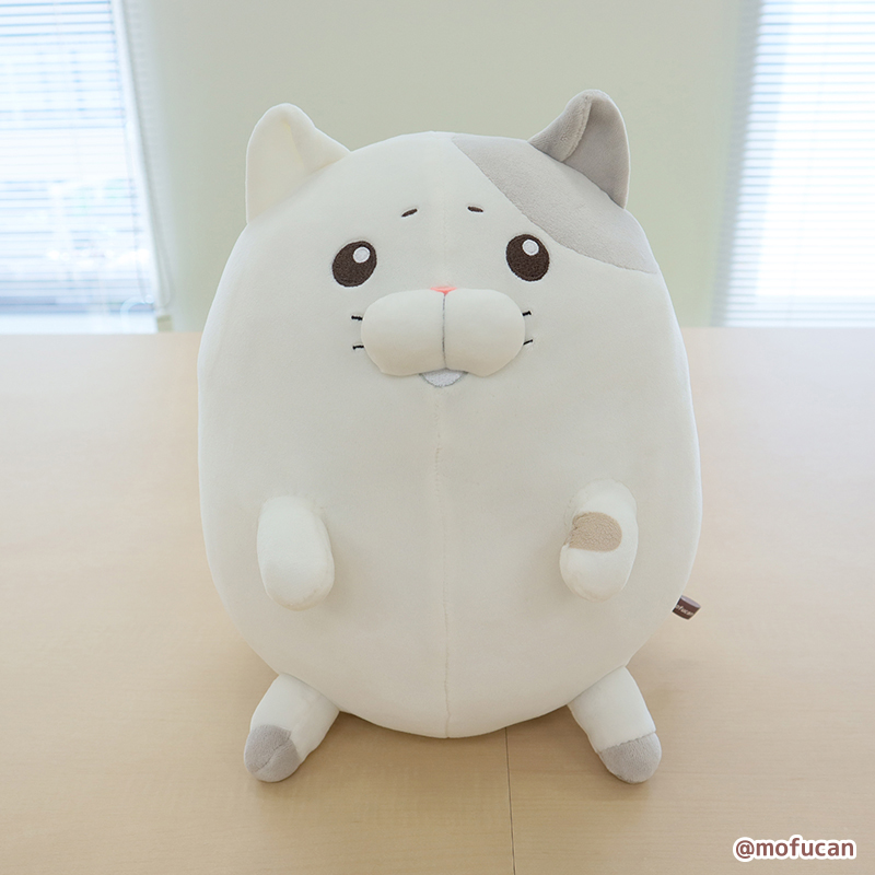 SNSで大人気！「モフ缶」の「泣きむし猫のキィちゃん」がましゅもっち