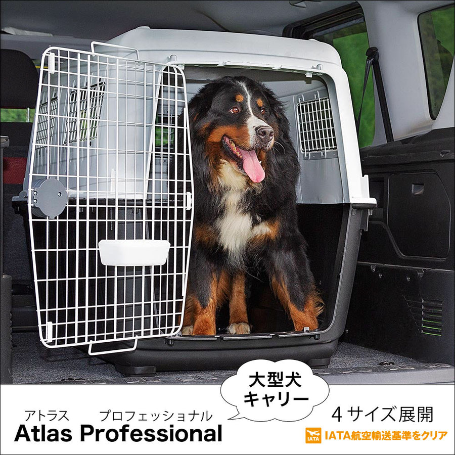 ATLAS CAR 100 ケージ