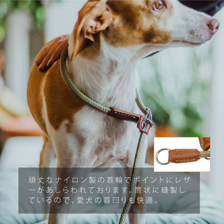 引っ張りぐせを直したいリード：ハーフチョーク ダービー DERBY GC 2