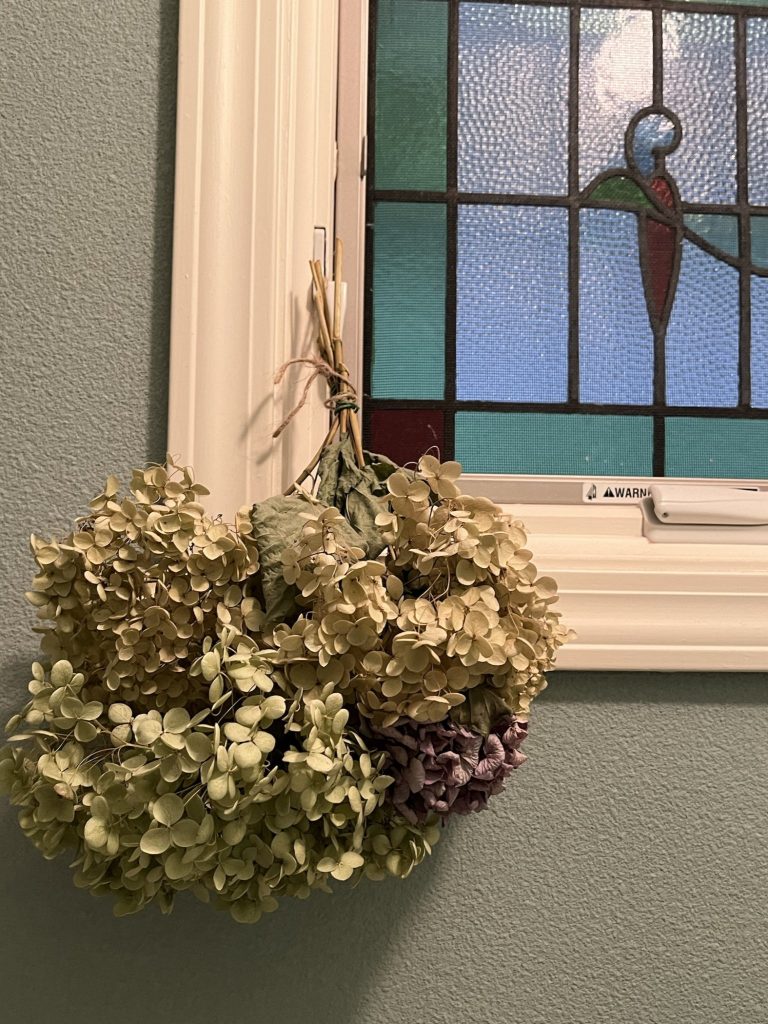 6月 | 2024 | 堀井かずえ | 花の絵ファンタジック水彩画