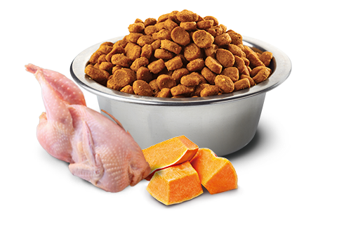 ファルミナ パンプキンウズラザクロ入りのキャットフード ファルミナ