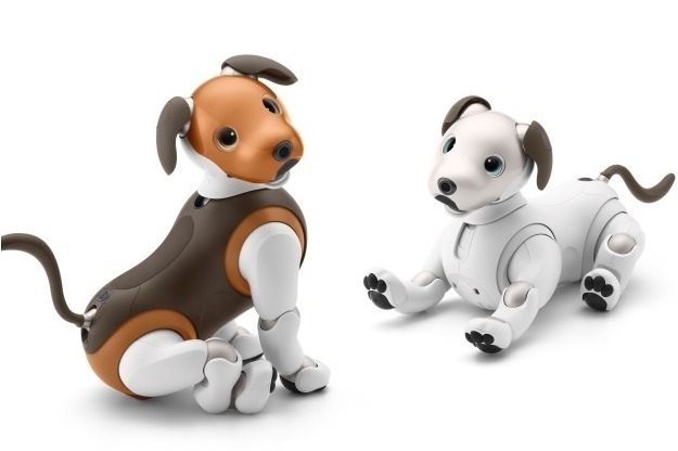 ペットロボ「アイボ」がチョコ色に！限定カラーのチョコ エディション
