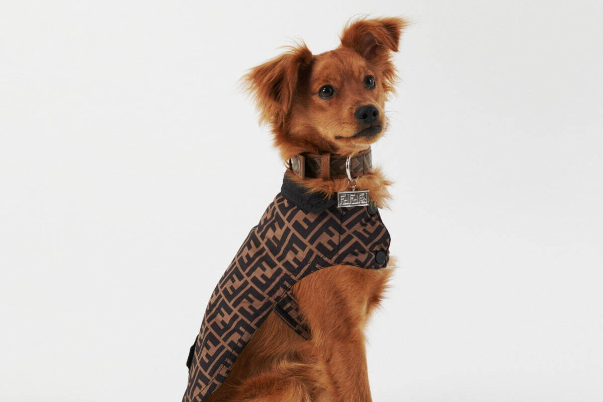 フェンディのペット用アクセサリー“FFロゴ”入りドッグコート＆首輪