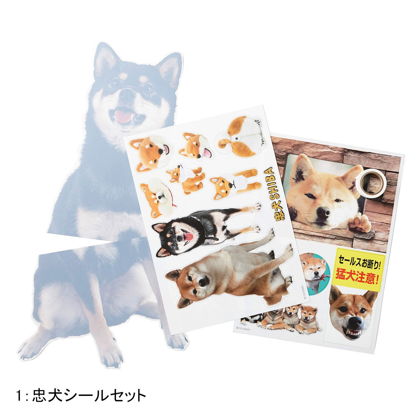 黒いの出ました！ 忠犬 SHIBA BLACK｜Real Stock[リアルストック