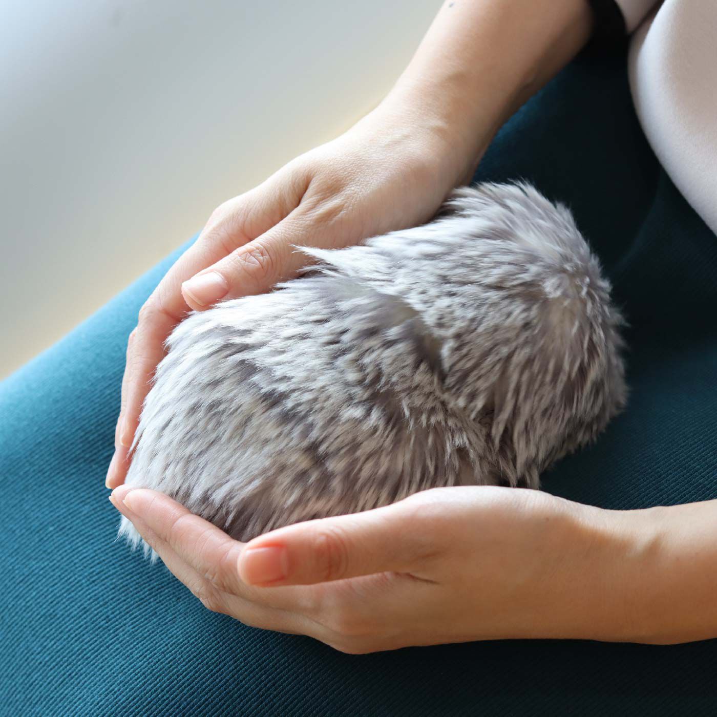 AIペット コミュニケーションロボットmoflin モフリン ゴールド