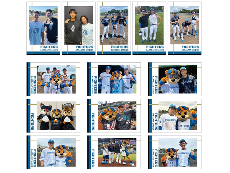 F FES 2024》鎌スタグッズ福袋を販売！ | 北海道日本ハムファイターズ