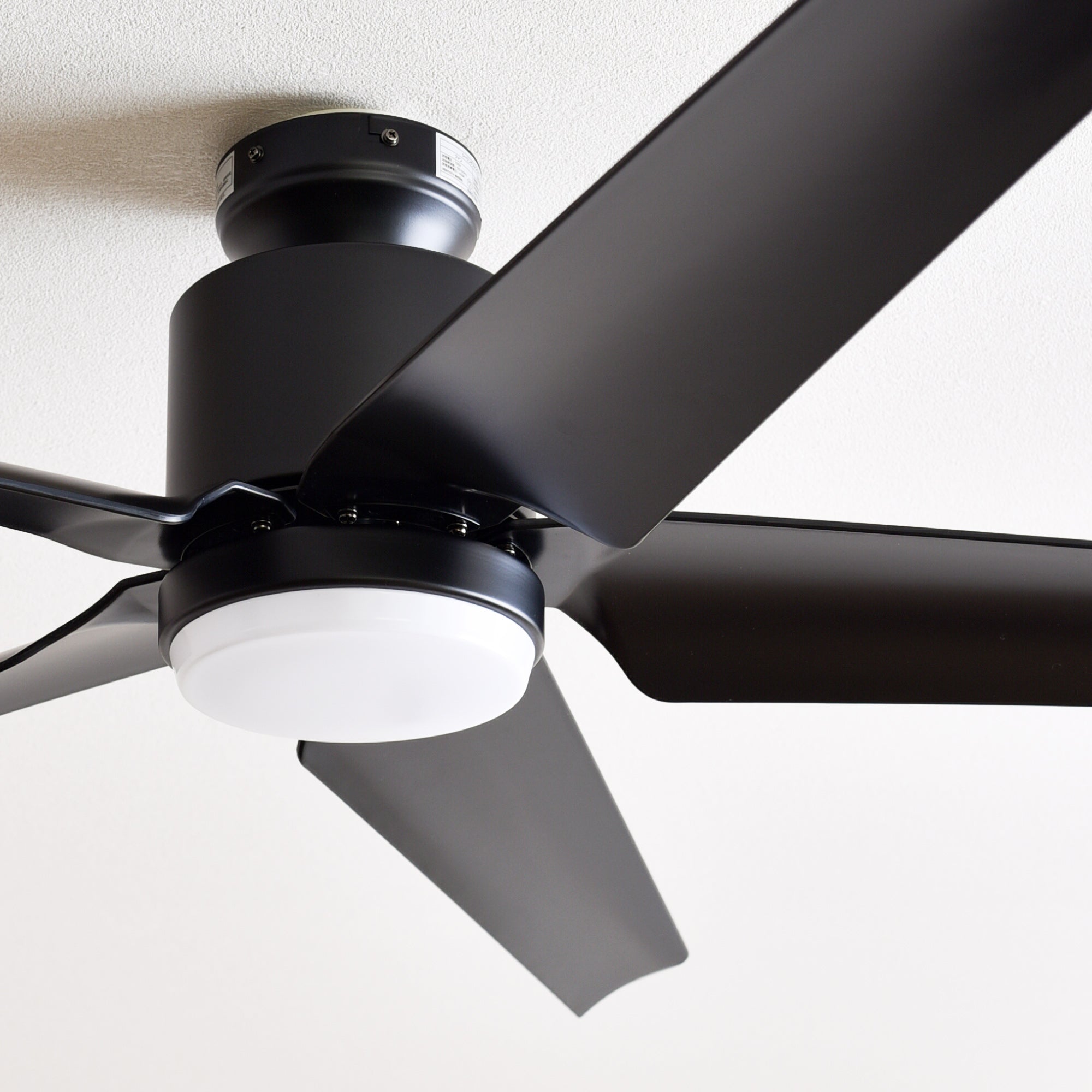 フォリア シーリングファンライト vo410579 5枚羽 2024年製 Amazon.co