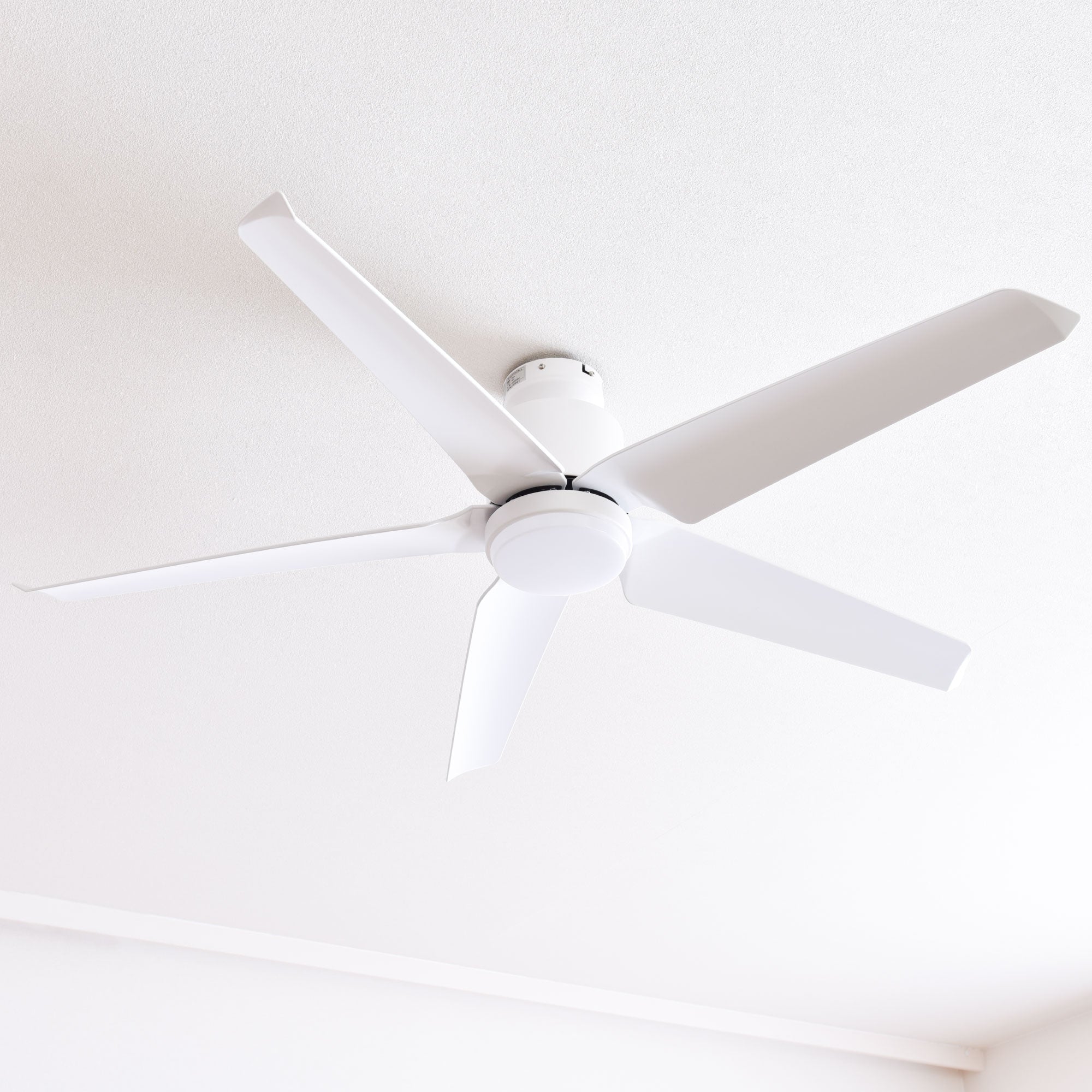 開封済・未使用】Taloya シーリングファンライト ホワイト 10畳 天井