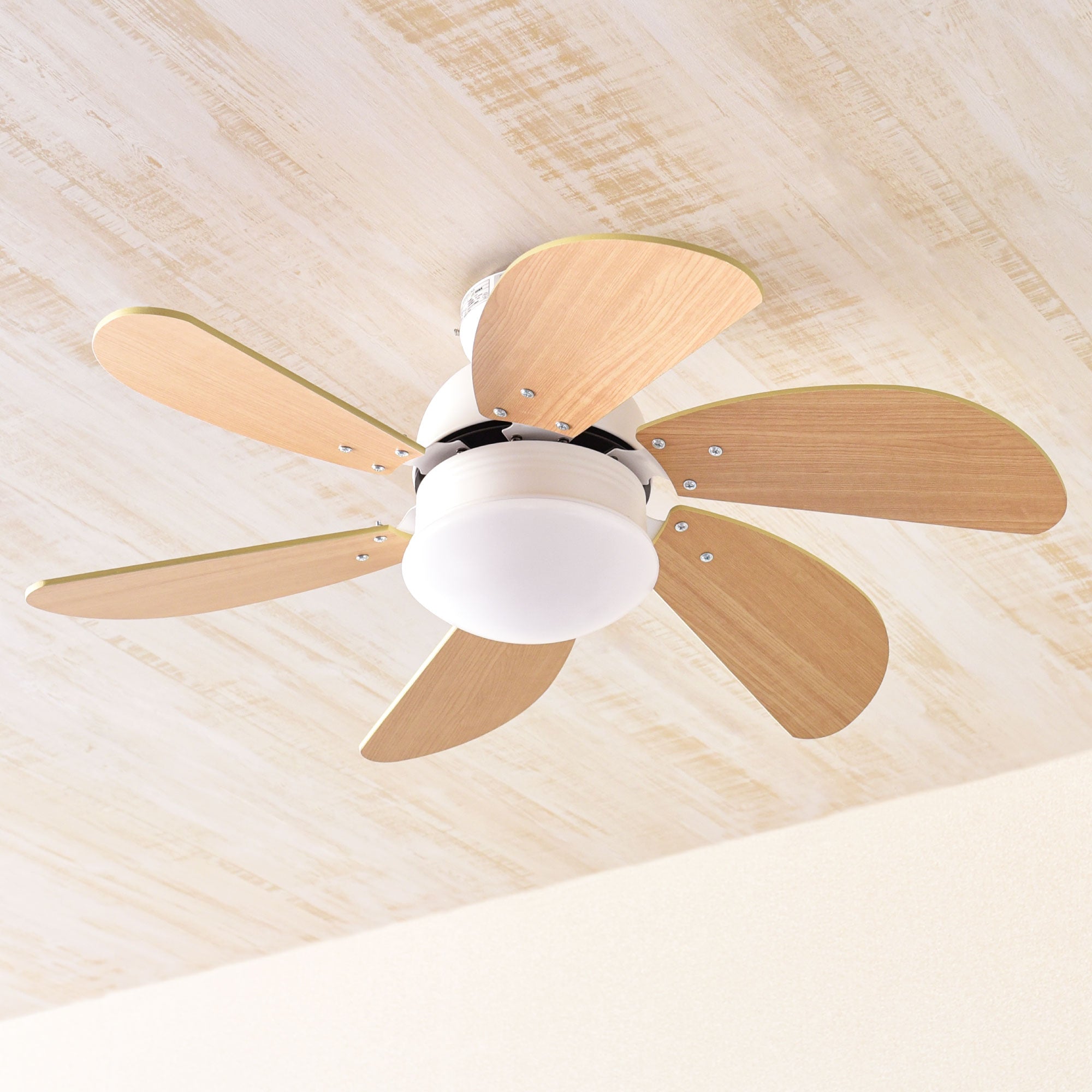 VENTOTA シーリングファンライト Pula 22 ピューラ22 シーリングファン