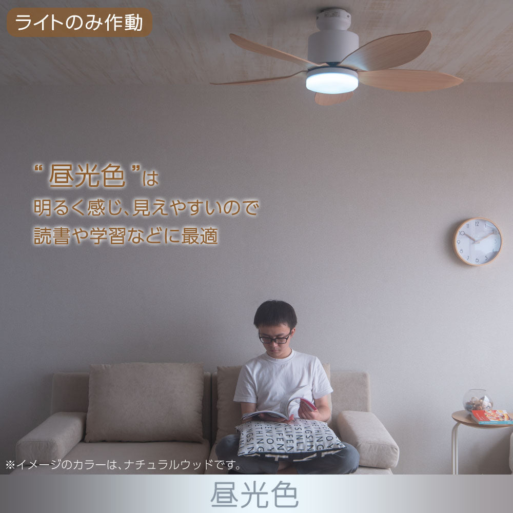 あす着] シーリングファンライト 傾斜天井対応 リモコン付 DCモーター