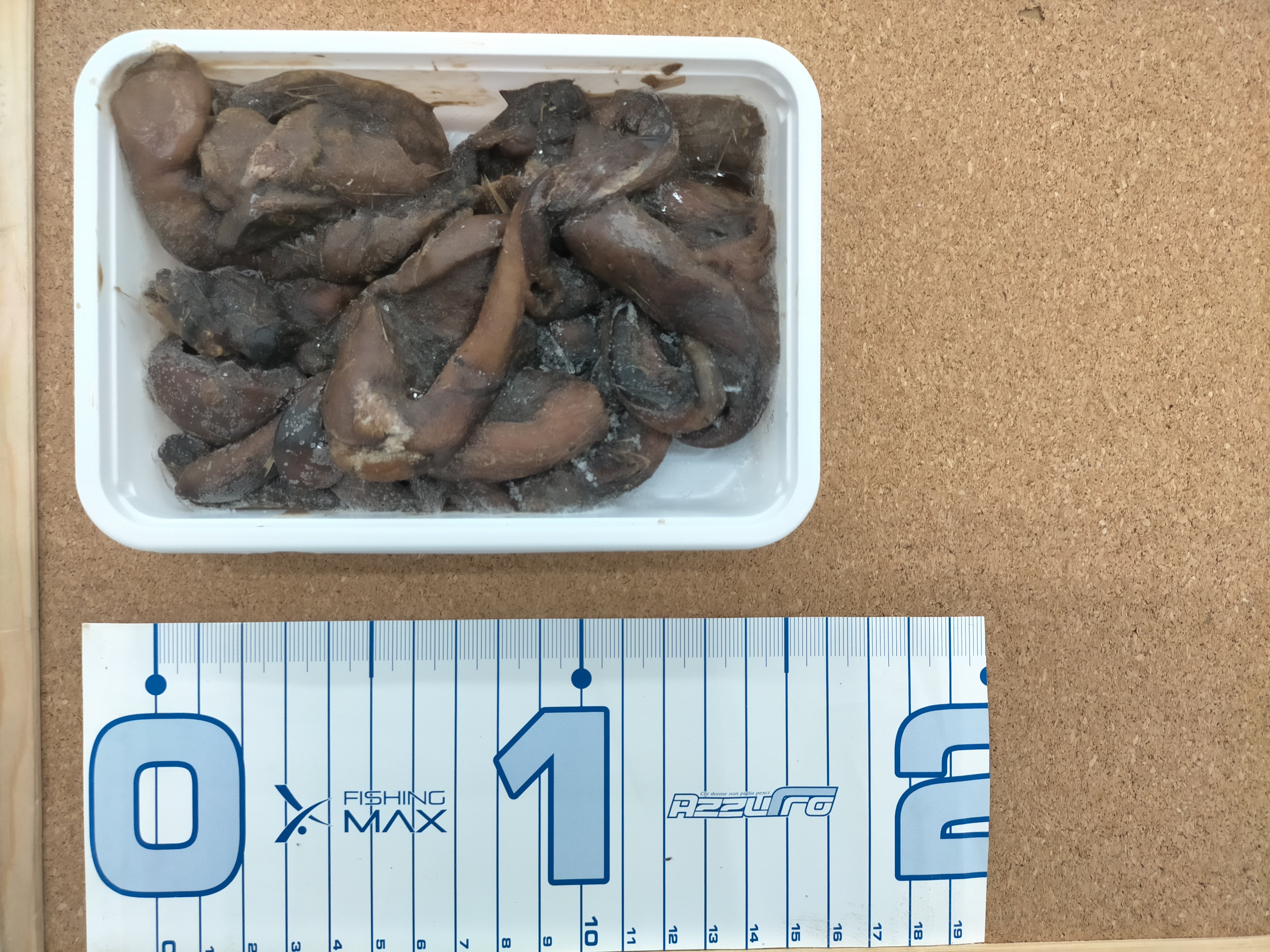 カツオのはらわた クール便 – フィッシングマックス WEBSHOP