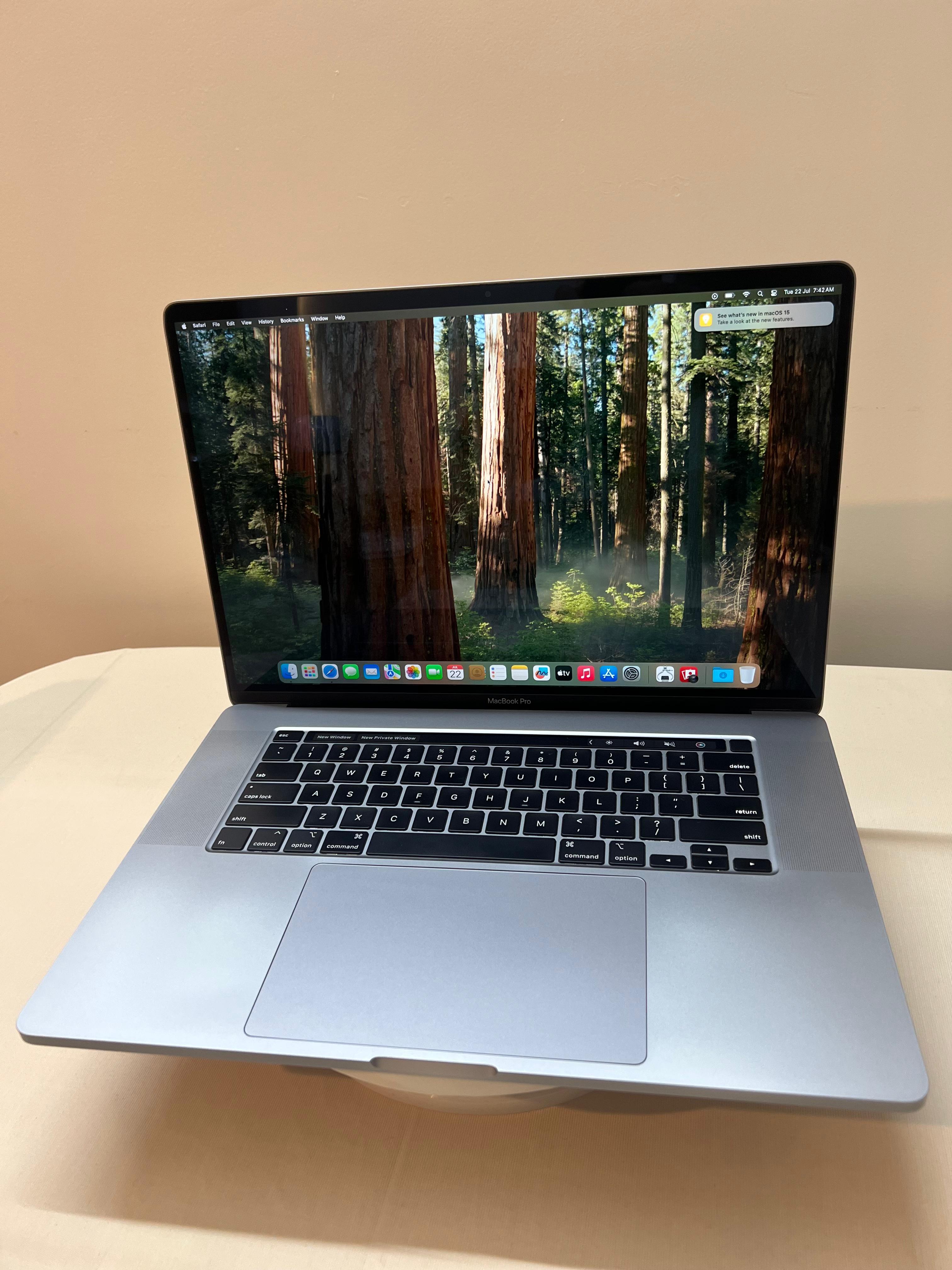 Apple 2019 MacBook Pro A2141 (16-inch/40.65 cm, 16GB RAM, 2.3GHz Intel