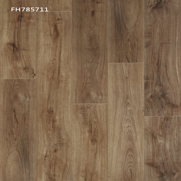 Bella Cera Solution Core Origin FH785703 Chisholm trail 7