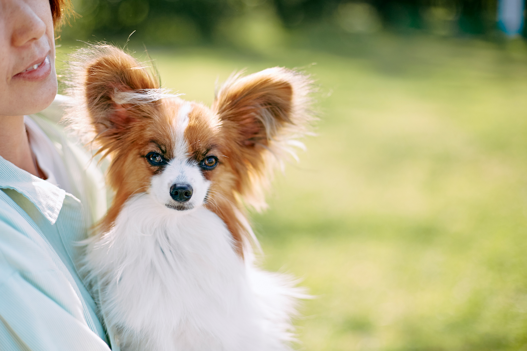 Papillon MEET UP 2025 | meetup | フリーステッチ free stitch