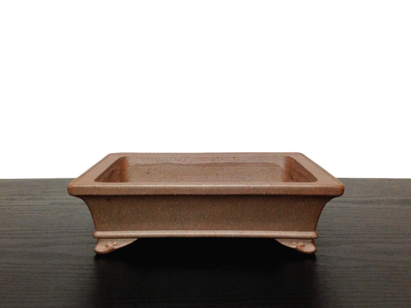 小松泉 秋静庵 小品盆栽 山野草 常滑鉢 「小松泉 秋静庵