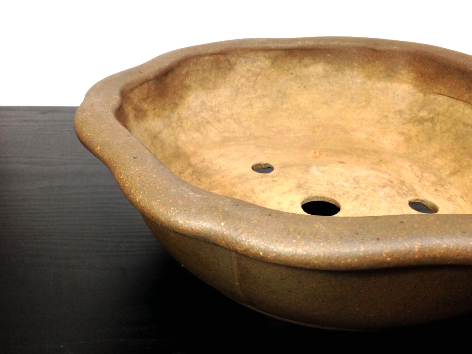 小松泉 秋静庵 小品盆栽 山野草 小松泉 秋静庵 小品盆栽 山野草