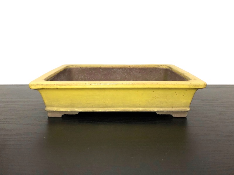 和鉢の販売通販専門店：常滑鉢 「松泉焼 山秋」 黄釉外縁長方鉢/FROM JAPAN