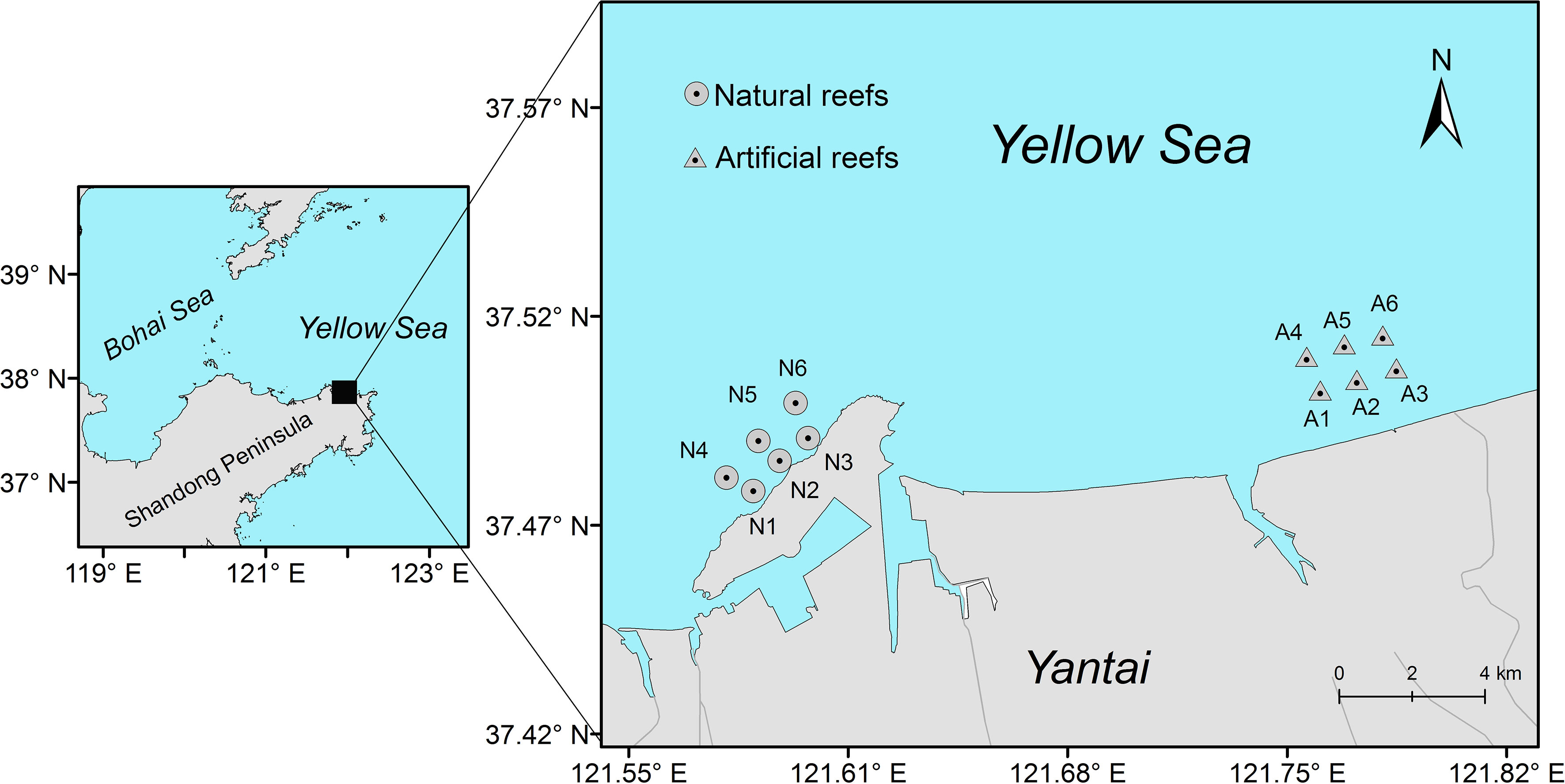 Frontiers | Using Ecopath Models to Explore Differences in