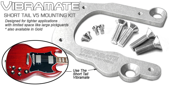 Vibramate V5 Short Tail Mounting Plate for Bigsby B5 - FU-Tone