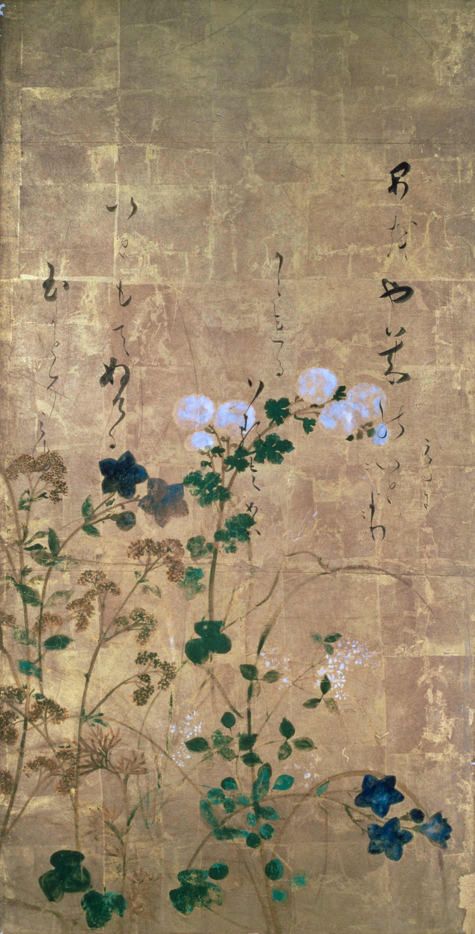 草花図下絵和漢朗詠集和歌 | 書：伝 本阿弥光悦 下絵：宗達派 | 収蔵品