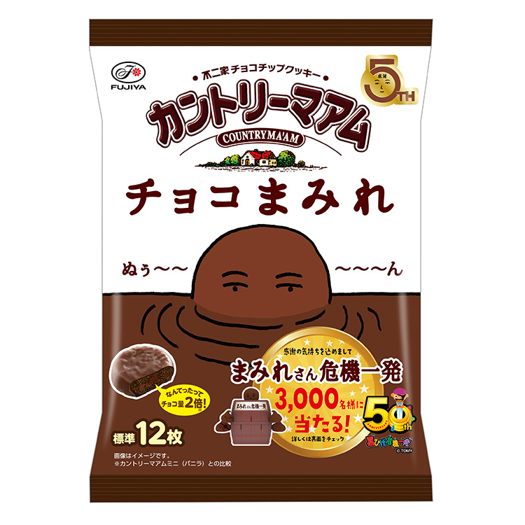 ハリネズミドームハウス チョコレート❤︎ ハリネズミドームハウス