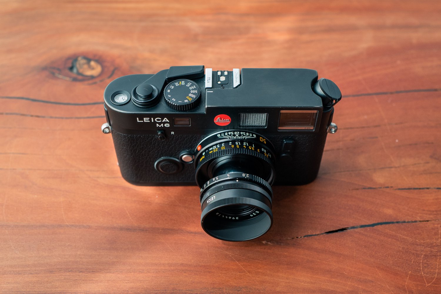 作例】Summicron 90mm F2 3rdレビュー。抜群の解像力で被写体を繊細に