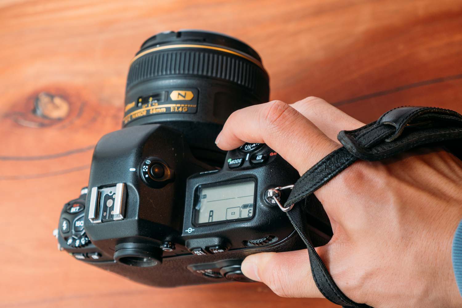 フィルムAFカメラ NIKON F100を購入。デジタル的な操作感のフィルム