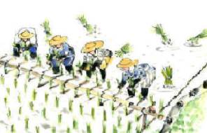 知恵の輪-昔の田植えの道具🌾