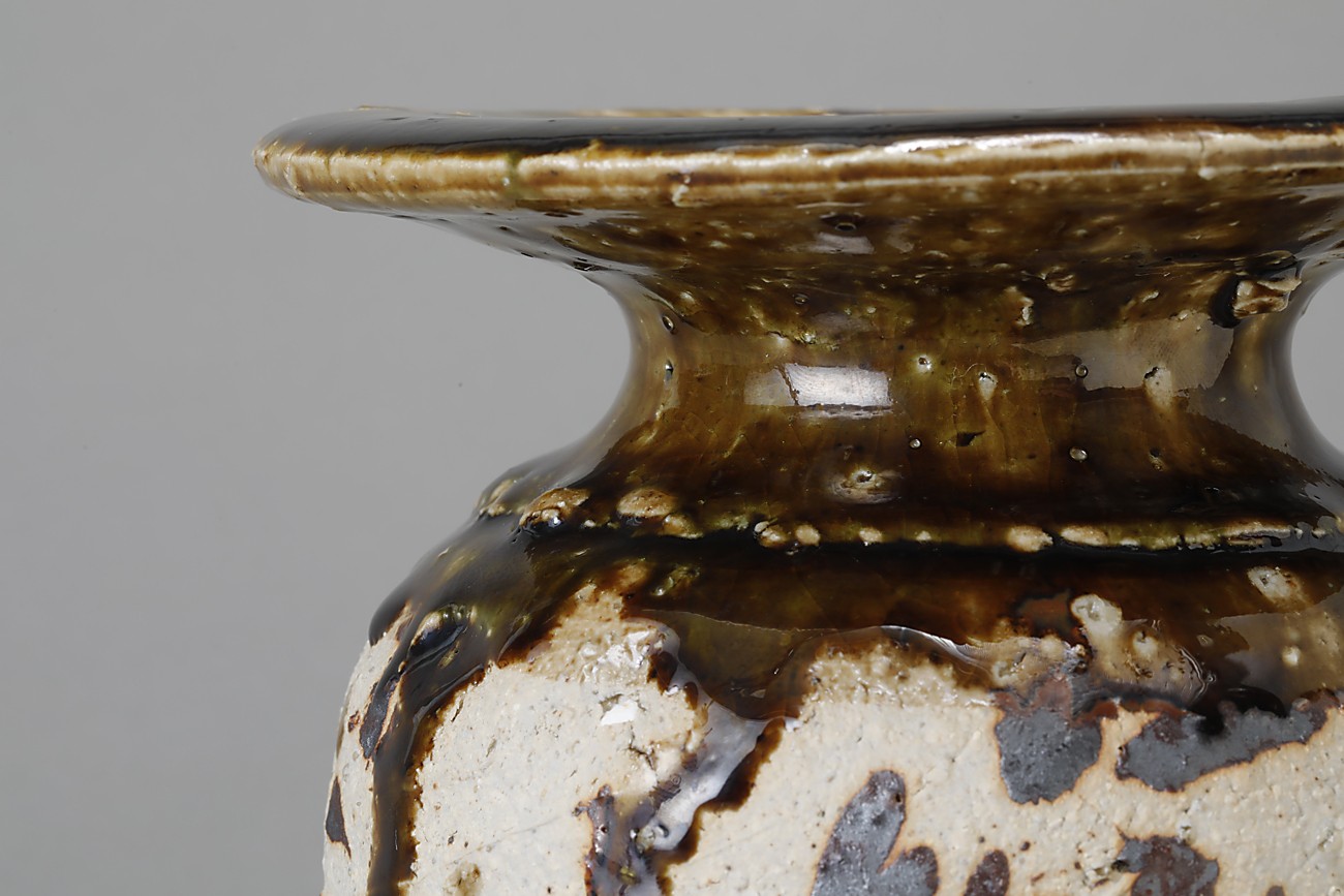 R887 水指 『温品焼』『本多康彦造』『耳付』『窯変水指』 共箱