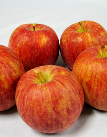 無袋りんごサンふじ 山形県朝日町の名産 フルーツ くだもの | G-Call