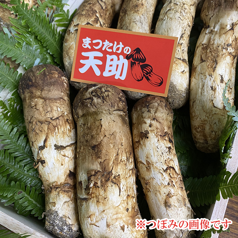 松茸 北海道天然物400グラム 2セット
