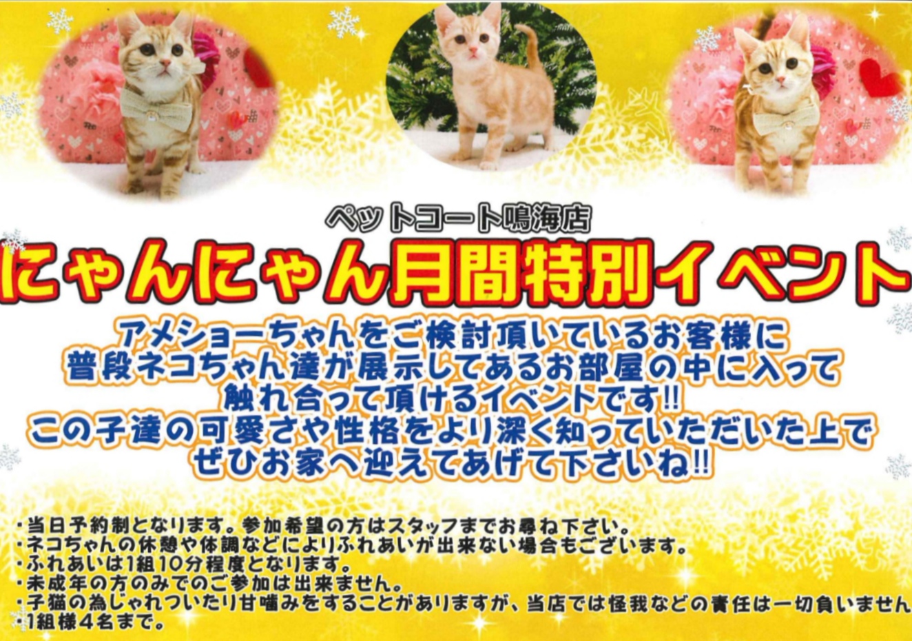 にゃんにゃん月間ふれあいイベント | 【全国120店舗以上】ペット