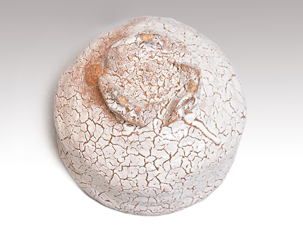 萩茶碗 玉隆山 吉田萩苑（造） 共箱 師 十代 三輪休雪 | 古美術ささき