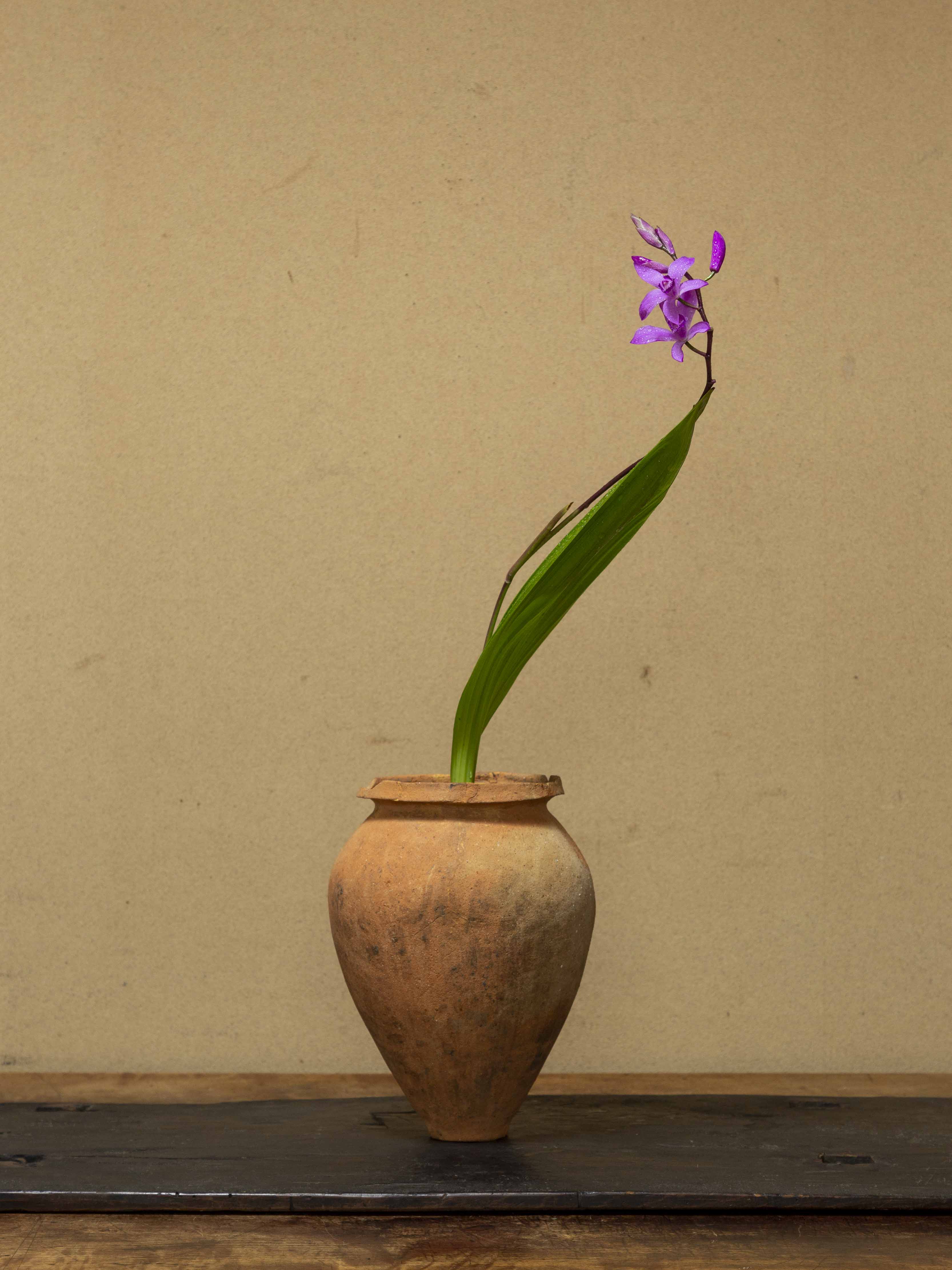 28 弥生広口壺 | 花と器と 高木孝 | ブログ | 工芸青花 kogei-seika