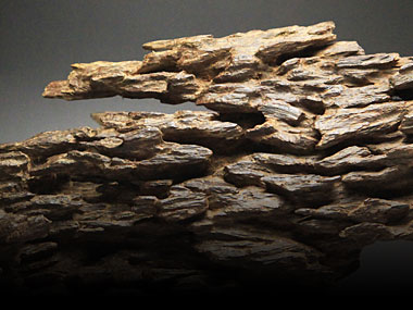 香道用香木（キャラ）