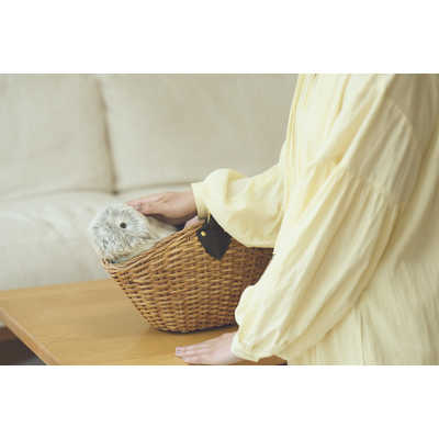 カシオ CASIO 手のりサイズ AIペット(コミュニケーションロボット