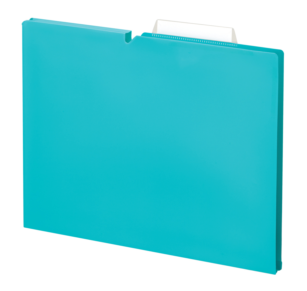 個別フォルダーNEOS PP製A4マチ15mmB色｜文具｜コクヨ