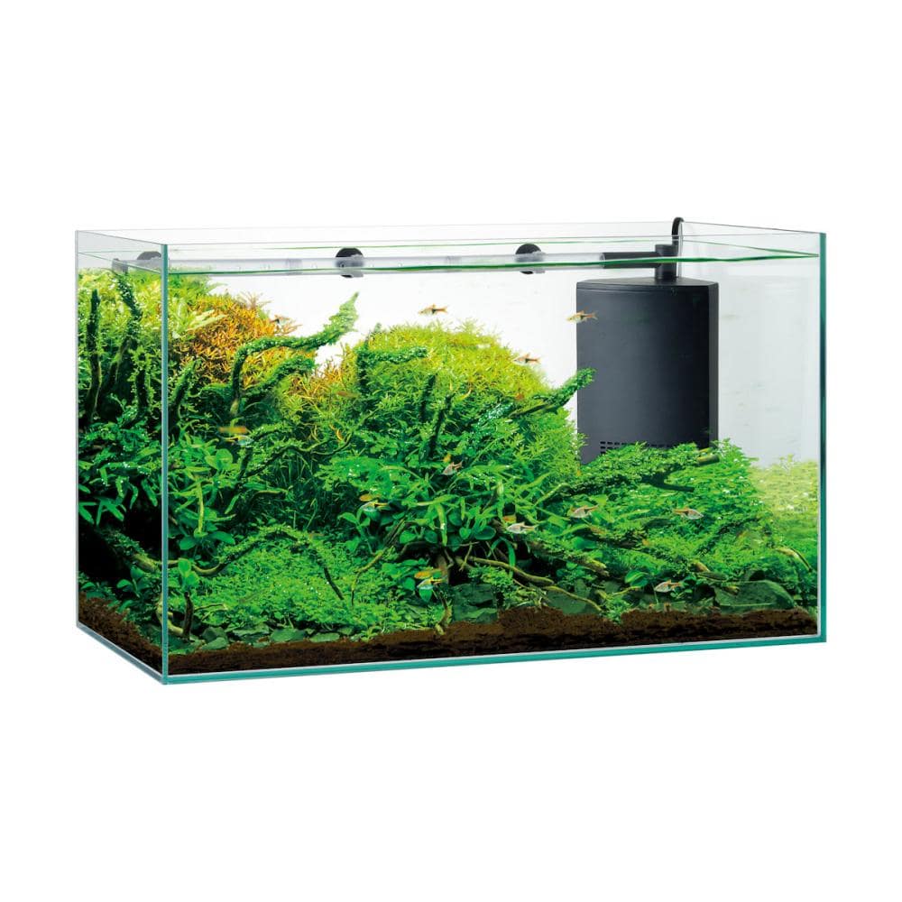 GEX アクアリスタ 水槽 グラステリア TS600D ジェックス グラステリア