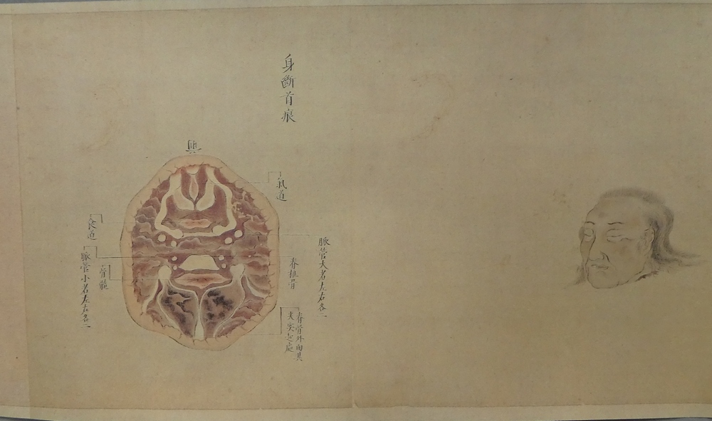 小石元俊 解剖絵巻』 [古美術こもれび] 骨董,掛軸,絵画の買取と販売,名古屋